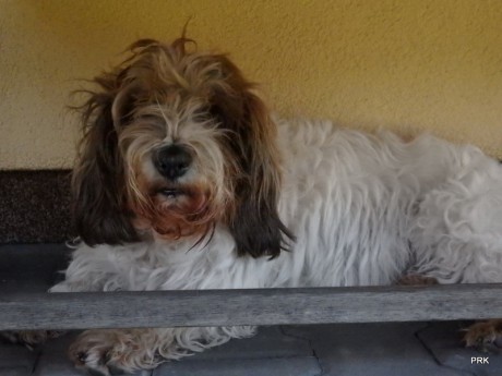 Co,co,co??? Naši vyhráli? Zase jsem to zaspala!!